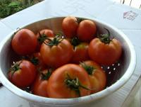 post-184243-0-52786000-1394612189_thumb.