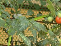 post-184243-0-55451900-1394612183_thumb.