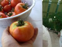 post-184243-0-80245400-1394612195_thumb.