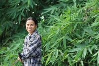 post-185776-0-21907500-1396002277_thumb.