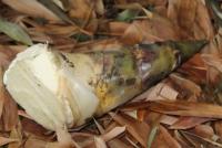 post-185776-0-43691500-1396002419_thumb.