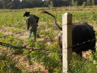 post-185776-0-63549200-1396087794_thumb.