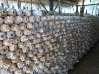 post-25023-0-13854900-1393677566_thumb.j