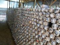 post-25023-0-52029700-1393677650_thumb.j