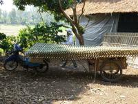 post-25023-0-61569600-1393681774_thumb.j