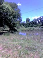 post-37242-0-29928900-1394638014_thumb.j