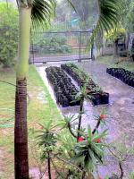 post-37242-0-49692700-1394638696_thumb.j