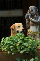 post-40226-0-02880900-1395108762_thumb.j