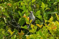 post-40226-0-31977200-1394512887_thumb.j