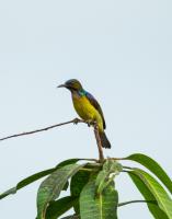 post-40226-0-48041200-1396278364_thumb.j