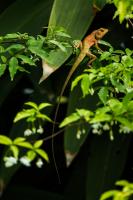 post-40226-0-60744700-1396276373_thumb.j