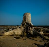 post-40226-0-74728900-1394599829_thumb.j