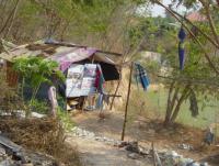 post-62639-0-51822500-1395017391_thumb.j