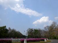 post-64232-0-84057500-1395580081_thumb.j