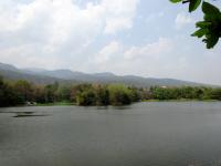 post-64232-0-90440900-1395580037_thumb.j