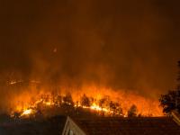 post-75849-0-22450600-1394793244_thumb.j