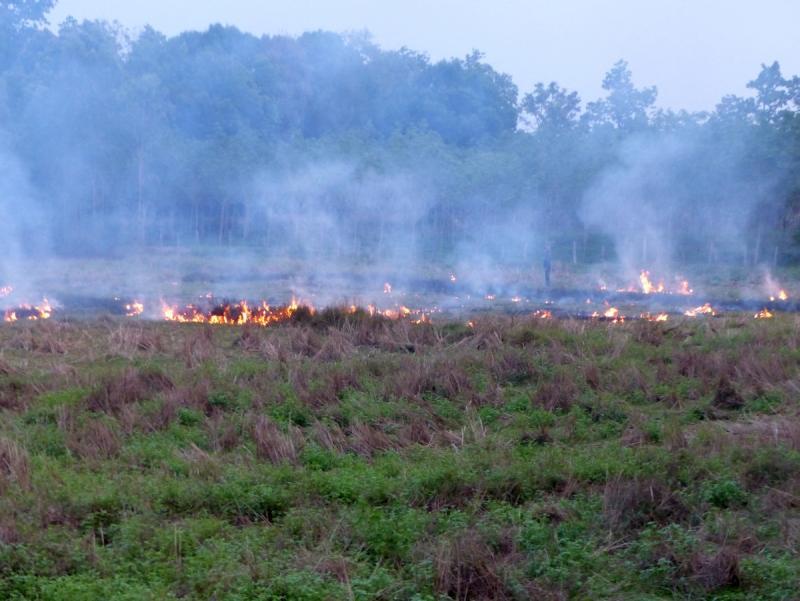 post-102759-0-13121000-1427421376_thumb.