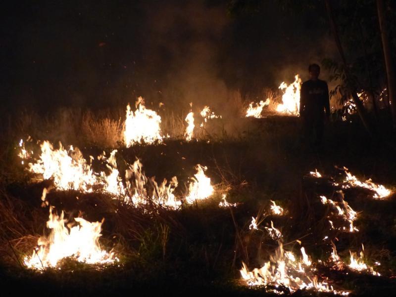 post-102759-0-21502000-1427421412_thumb.