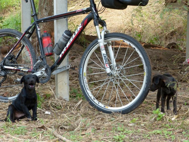 post-102759-0-28661300-1427082685_thumb.