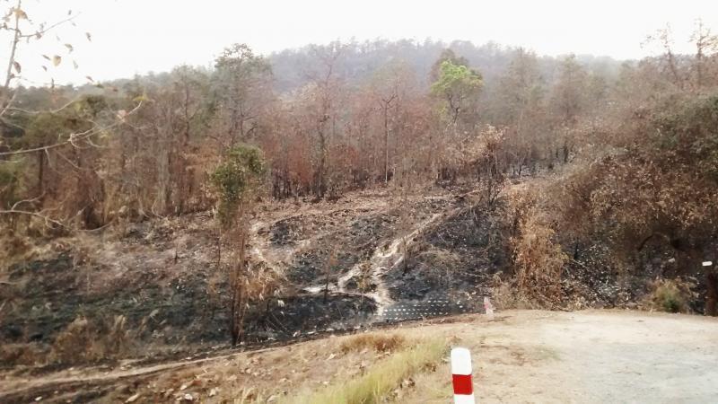 post-113867-0-05951200-1426342419_thumb.