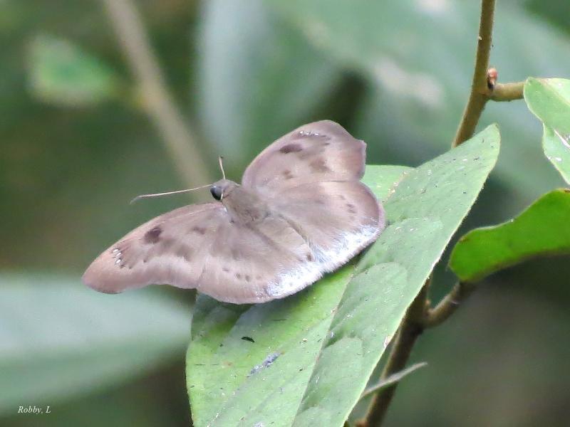 post-12069-0-29726100-1426998774_thumb.j