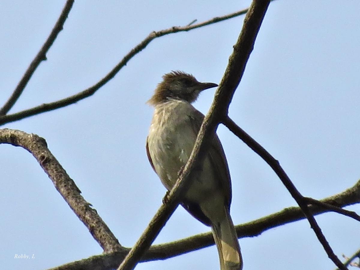 post-12069-0-32098800-1425187331_thumb.j