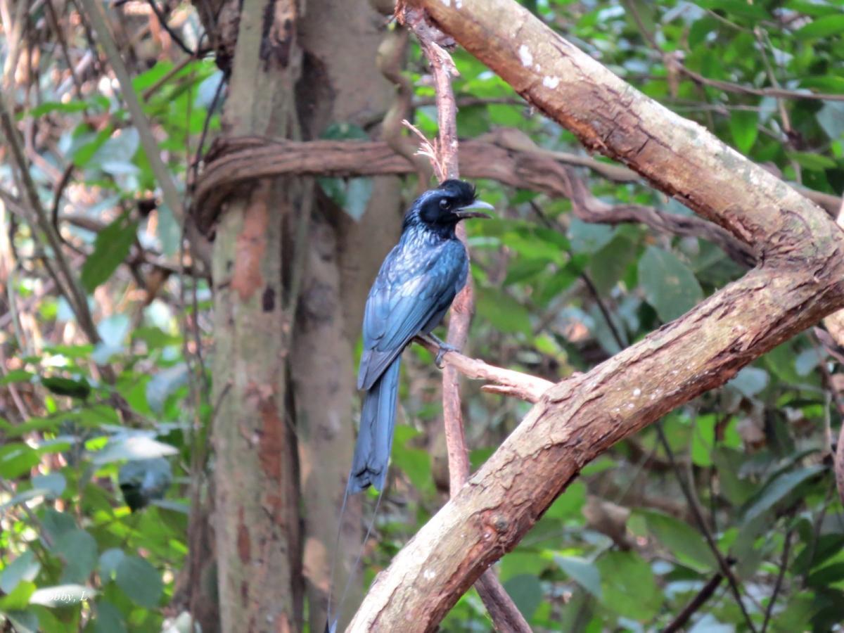 post-12069-0-56649300-1425385213_thumb.j