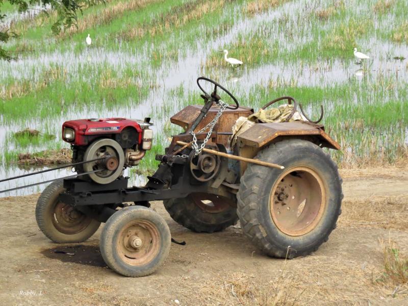 post-12069-0-83472500-1427460594_thumb.j