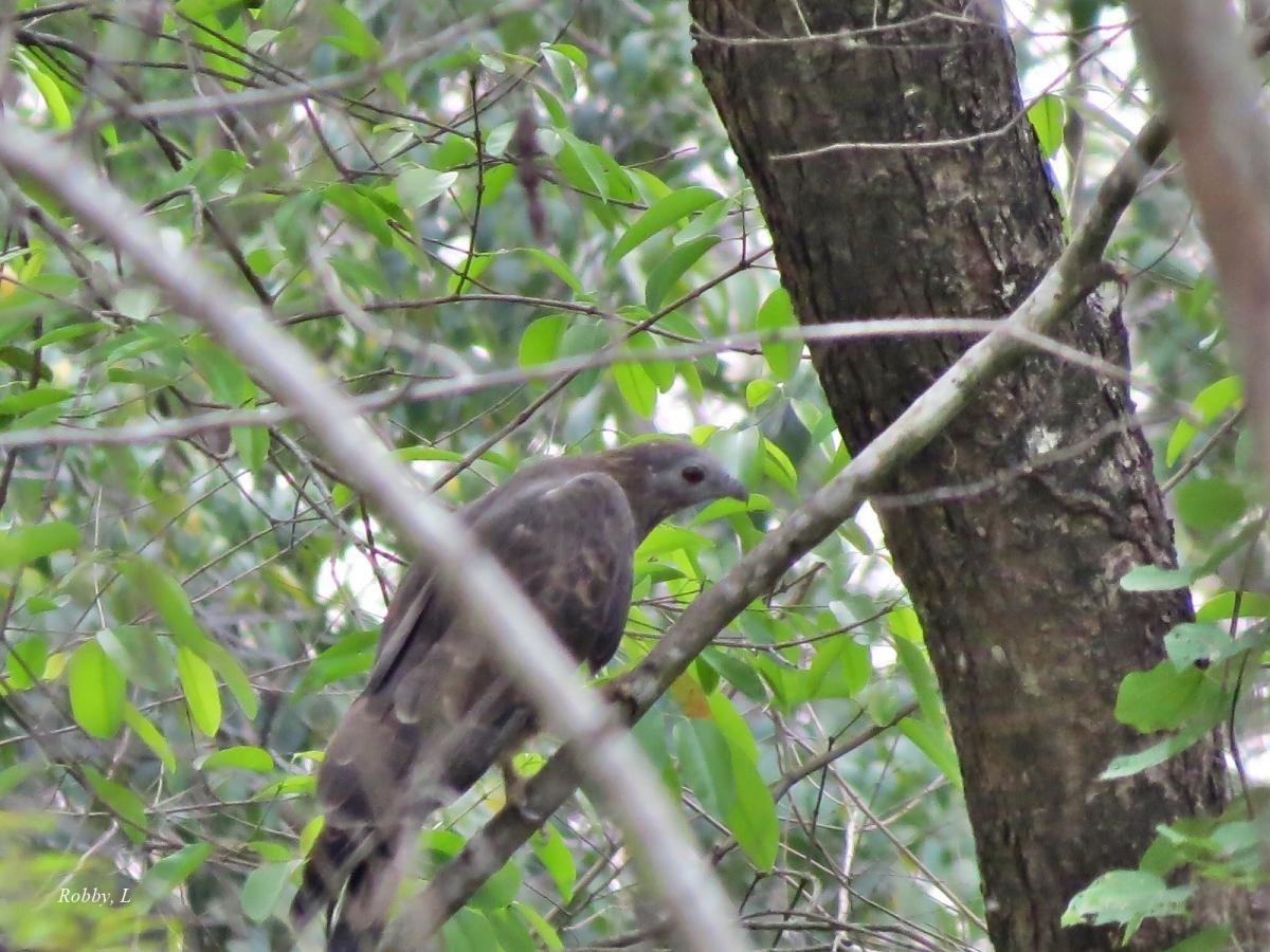 post-12069-0-92891500-1425387255_thumb.j