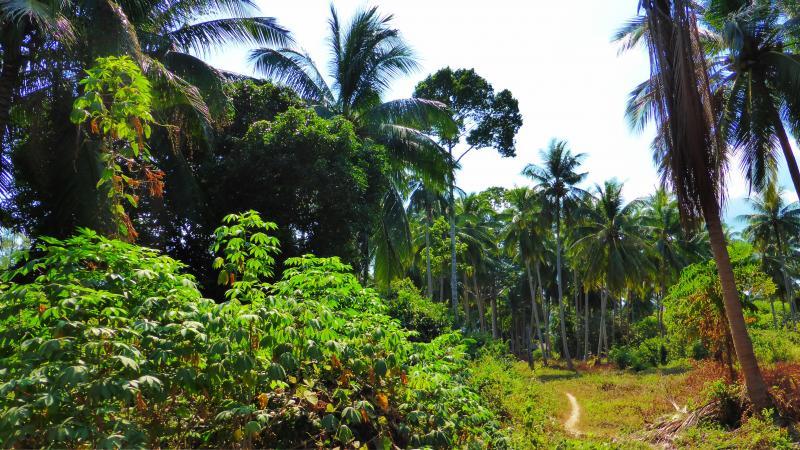 post-138525-0-72693000-1426400374_thumb.