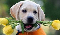 post-160354-0-45587900-1425212687_thumb.