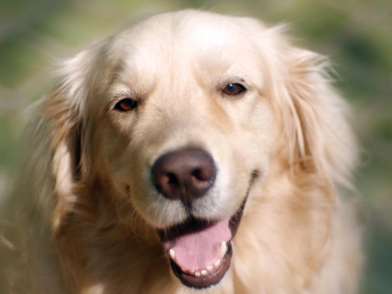 post-20874-0-09699400-1425570357_thumb.j