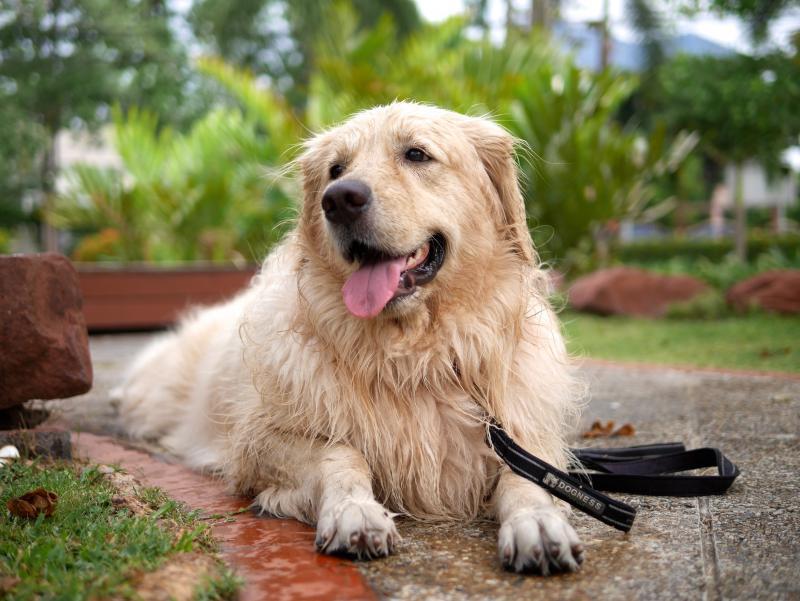 post-20874-0-16361400-1426599623_thumb.j