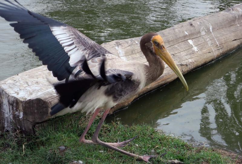 post-21581-0-30959400-1426854262_thumb.j