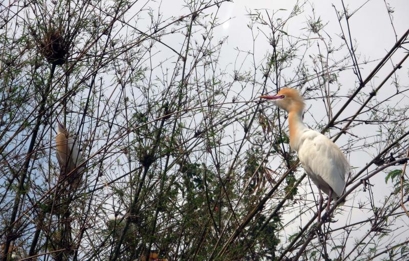 post-21581-0-42838900-1426411074_thumb.j