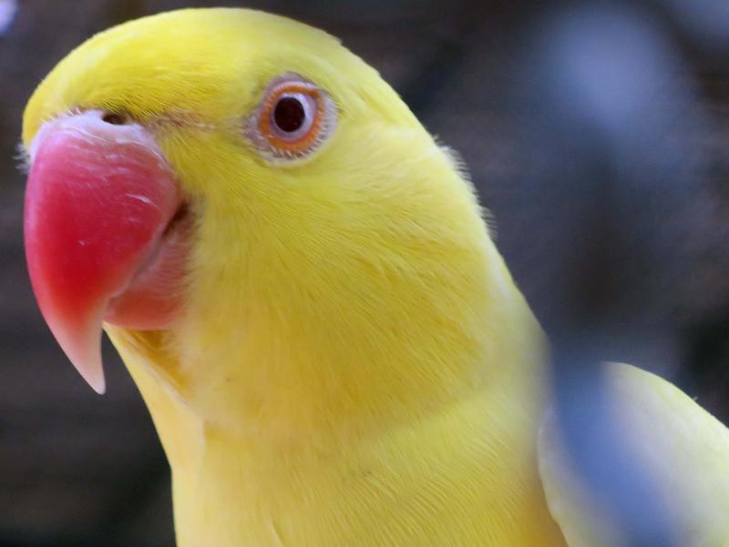 post-21581-0-68234500-1426411112_thumb.j