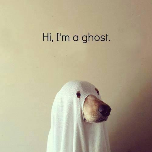 post-216015-0-39505900-1425214046_thumb.