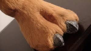 post-218648-0-78625800-1426477492_thumb.