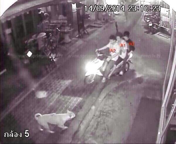 post-222787-0-46282800-1426872345_thumb.