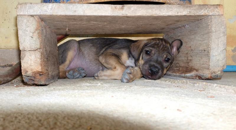 post-228826-0-39882000-1425907304_thumb.