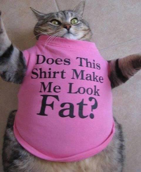 post-22920-0-09335700-1425236437_thumb.j