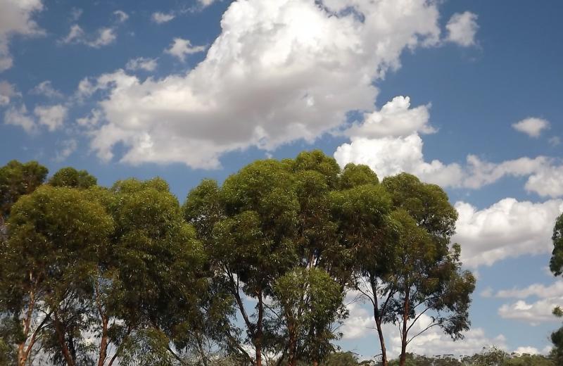 post-231841-0-09152800-1427119948_thumb.