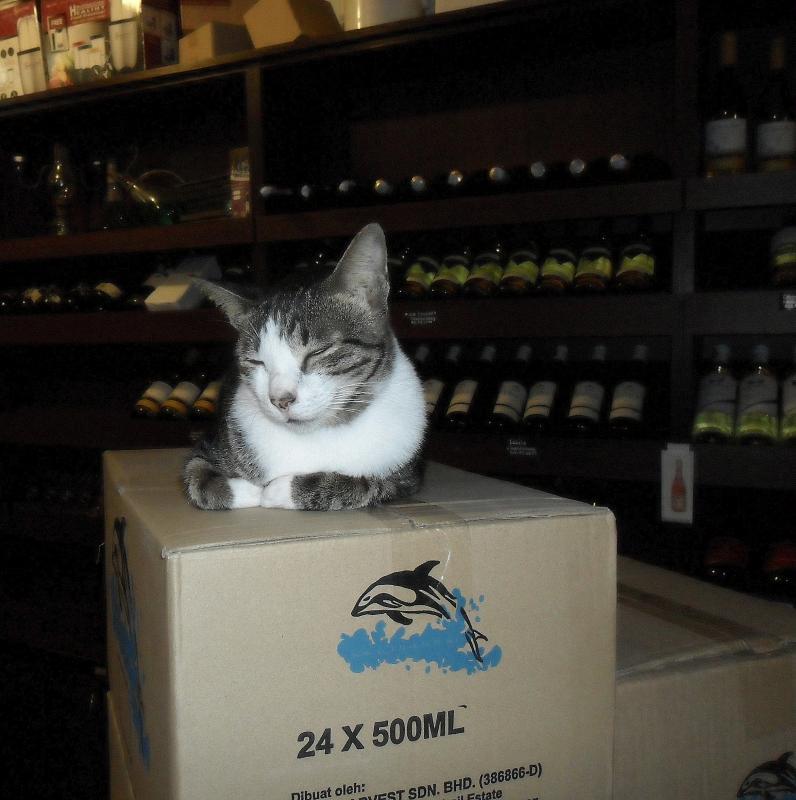 post-231841-0-17463800-1427544755_thumb.