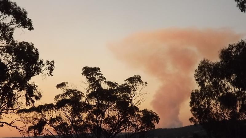 post-231841-0-18145500-1427539221_thumb.