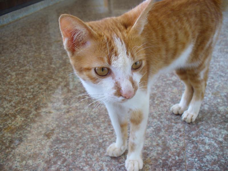 post-231841-0-48309000-1426075266_thumb.