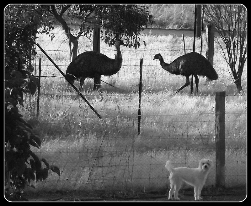 post-231841-0-61604300-1427114845_thumb.