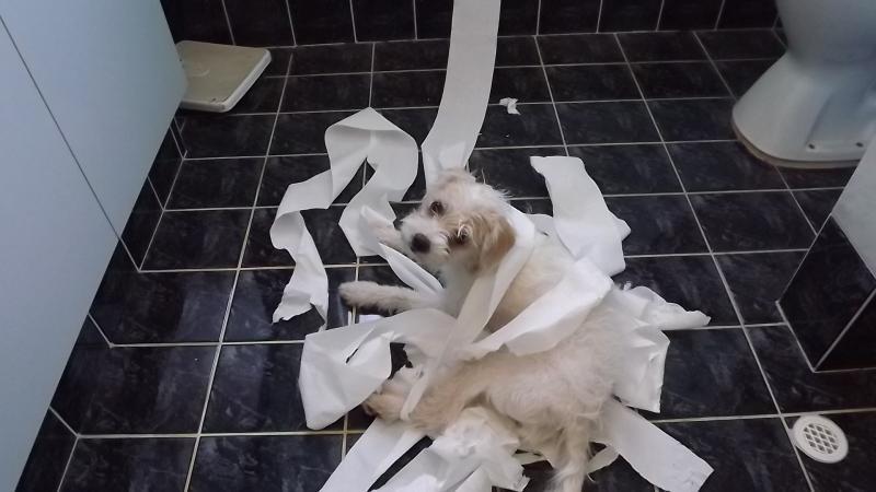 post-231841-0-62779800-1426600051_thumb.