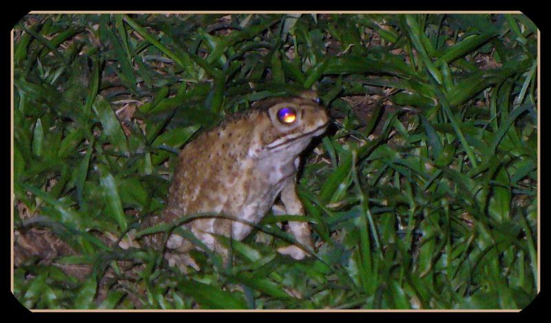 post-231841-0-99908100-1426591803_thumb.