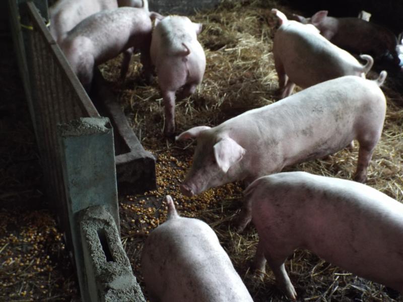 post-32351-0-23865800-1426297732_thumb.j