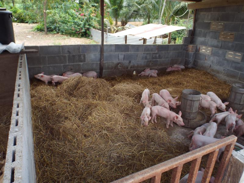 post-32351-0-94921900-1426297816_thumb.j